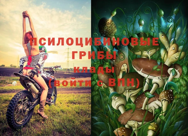 трава Алексин