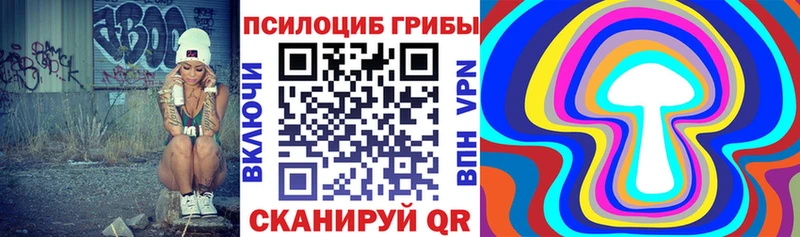 цены наркотик  кракен ССЫЛКА  Галлюциногенные грибы мицелий  Катав-Ивановск 